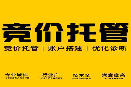 搜索引擎营销（SEM）的经典案例分析